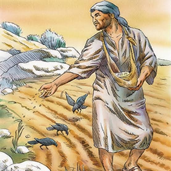 Commento al Vangelo di Matteo 13,22